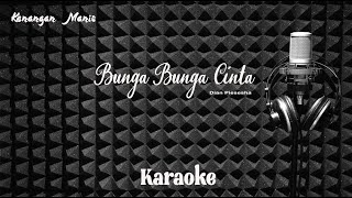 Dian Piesesha - Bunga Bunga Cinta - Karaoke tanpa vocal