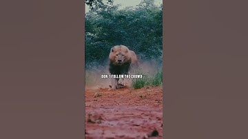 🚀 “Don’t follow the crowd… Lead it with attitude!” 💥 #Attitude #BeBold #Leadership #Motivation