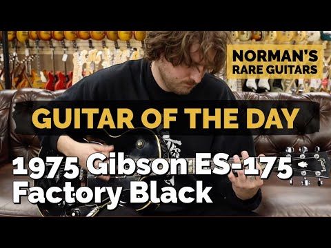 guitar-of-the-day:-1975-gibson-es-175-factory-black-|-norman's-rare-guitars