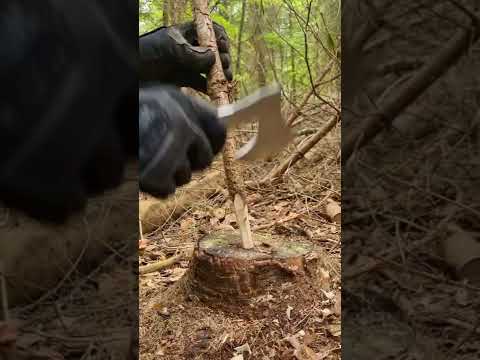 Axe for small