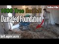 How to Repair a Concrete Foundation, Severe Tree Root Damaged!