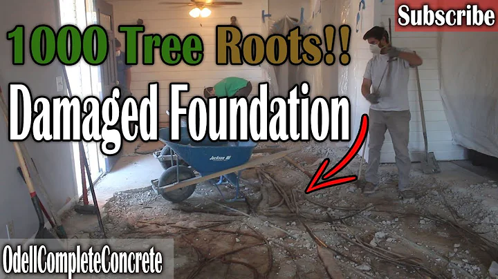 Reparación de losa de concreto: ¡Daños graves por raíces de árboles!