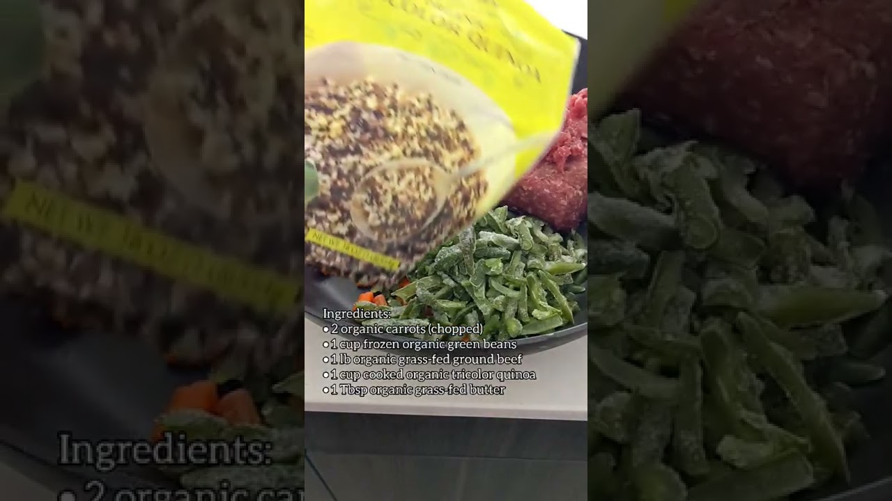 Healthy Dog Food One Pot Recipe Beef and Quinoa! shorts dog 