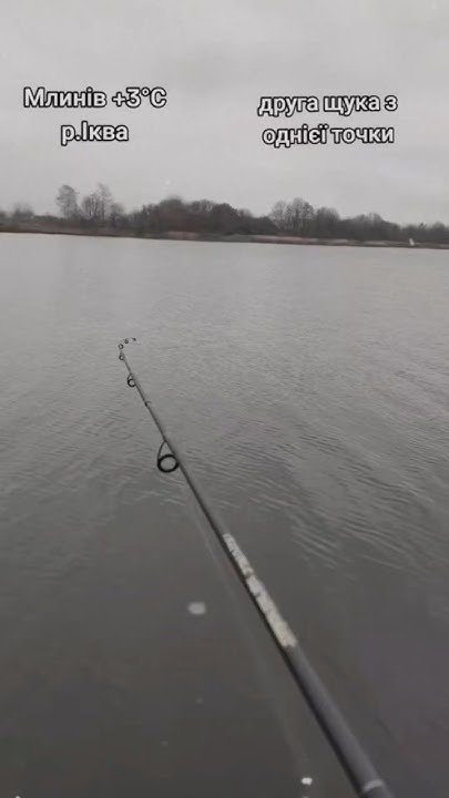 Рибалка - це святе 🎣 #щука #рибалкавукраїні #рибалка #клювання #снасті ...