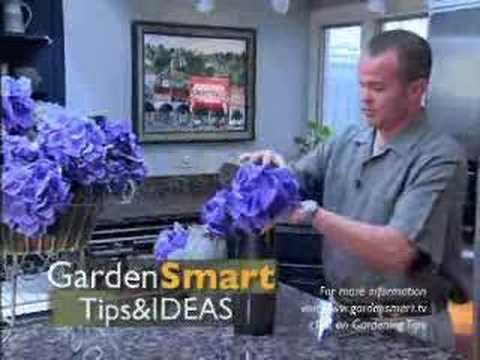 Wayside Gardens Gardening Tips - Plants to Bring Inside - YouTube