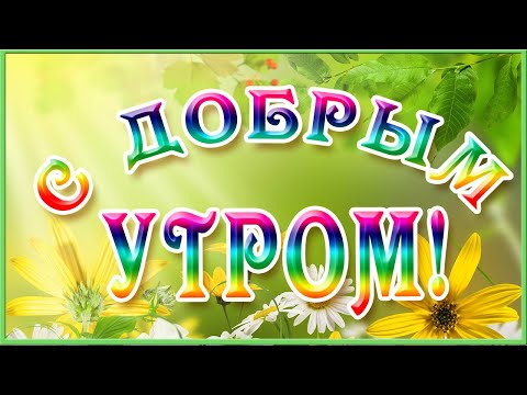 С Добрым Утром и Хорошим Днем!