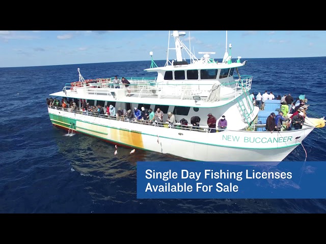 Galveston Party Boats