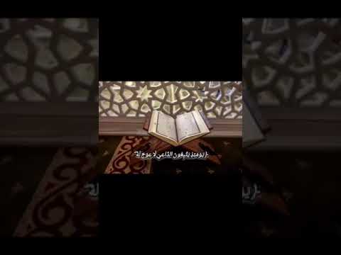 القارئ محمد القعطبي حفظه الله