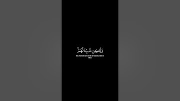 وبكفرهم وقولهم على مريم بهتانا عظيما | #كرومات_قرآن للقارئ محمد أيوب رحمه الله