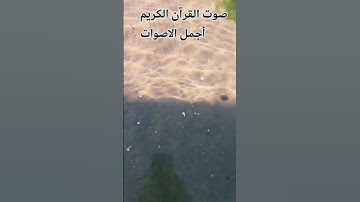 اللهم اجعل القرآن ربيع قلوبنا ونور صدورنا #اكسبلور#راحة_نفسية ♥️تلاوه عطره للشيخ ماهر المعيقلي 😍🤲