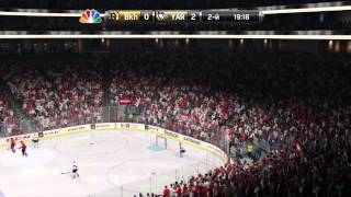 Stupid goal NHL 15 on the ps4