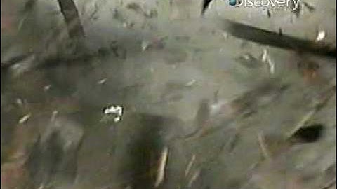 Destroyed in Seconds- House Explosion