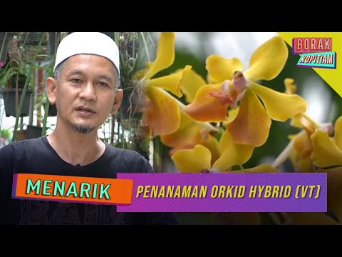 Video: Lelaki itu tidak membuat tawaran: kemungkinan sebab, nasihat dan cadangan ahli psikologi