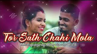 तोर साथ चाही मोला | Tor Sath Chahi Mola (Slowed Reverb) Kishan Sen Purnima gayakwad new cg lofi song