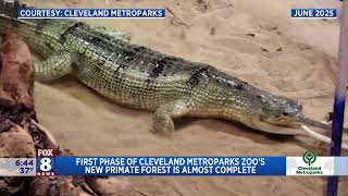 Construction Update Of Future Primate Forest At Cleveland Metroparks Zoo