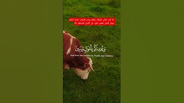 فقلت استغفروا ربكم سورة #نوح #قرآن كريم #محمد_الفقيه