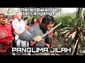 PANGLIMA JILAH DAN PETER BELANDA #part1 MEMBUMI BERSAMA SUKU DAYAK