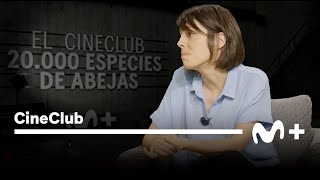 El CineClub de Movistar Plus+: 20.000 especies de abejas