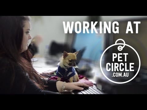 Working at Pet Circle