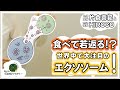 食品によって「エクソソーム」の分泌を促すことで細胞を活性化する｜#01 九州大学 片倉喜範先生