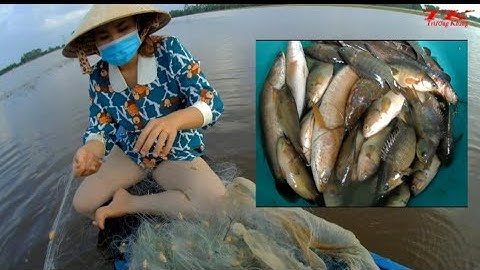 Vợ chồng Khang - Giăng lưới bắt cá đồng mùa nước nổi#Trương#Khang#Trương khang