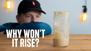 Can you revive a dead sourdough starter?
