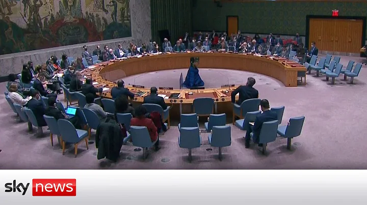 Ukraine crisis: Russia vetoes the UN Security Council resolution condemning the invasion of Ukraine - DayDayNews