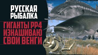 Сом + Осётр на р. АХТУБЕ | Лосось Ладожский на р. ВОЛХОВ 🔴 Русская Рыбалка 4