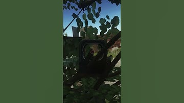 how to complete "setup" in escape from tarkov