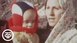 Иран: крушение монархии (1979)