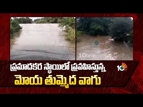 Montha Cyclone Effect | Heavy rains | ప్రమాదకర స్థాయిలో ప్రవహిస్తున్న మోయ తుమ్మెద వాగు | 10TV News