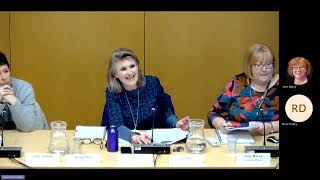 Strategic Overview and Scrutiny Committee - 16 April 2026