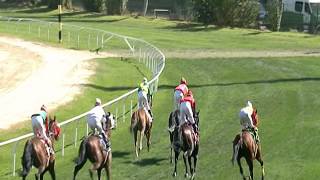 Vidéo de la course PMU PREMIO JOCKEY CLUB OF TURKEY