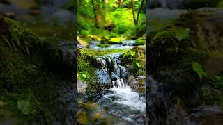 Find your peace in the rhythm #relaxing #watersound #riverflow #naturalrelaxation #stressrelief