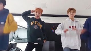 [NCT DREAM] 드림 따라하는 드림 모음