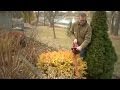 Toro 24V MAX Cordless Hedge Trimmer Overview