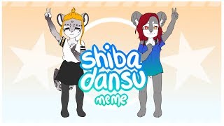 ♡ shiba dansu meme ♡