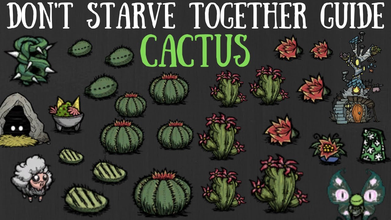 Don T Starve Together Guide Cactus Youtube