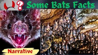 Some Bats Facts (only group of mammals capable of flight) -Narrative