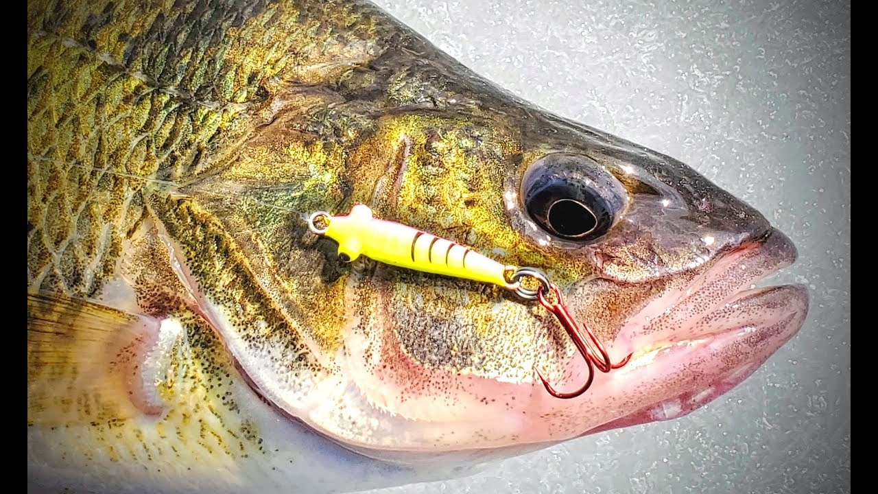 Northland Bro Bug Spoon – Dakota Angler