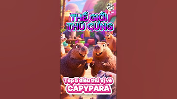 Bạn Có Biết 5 Điều Bí Ẩn Trong Thế Giới Capybara Chưa?? | Thế Giới Thú Cưng