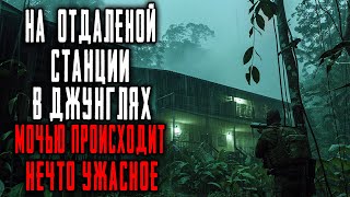 видео: Я Работал на Исследовательской Станции в Джунглях Амазонии. Ночью в Дверь Кто-то Стучал. картинка: Я Работал на Исследовательской Станции в Джунглях Амазонии. Ночью в Дверь Кто-то Стучал.