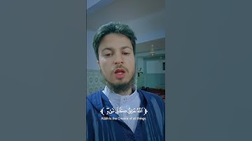 ﴿ وَيُنَجِّي اللَّهُ الَّذِينَ اتَّقَوْا بِمَفَازَتِهِمْ ..) #سورة_الزمر #القارئ_معاذ_مخلص 🍁 #quran