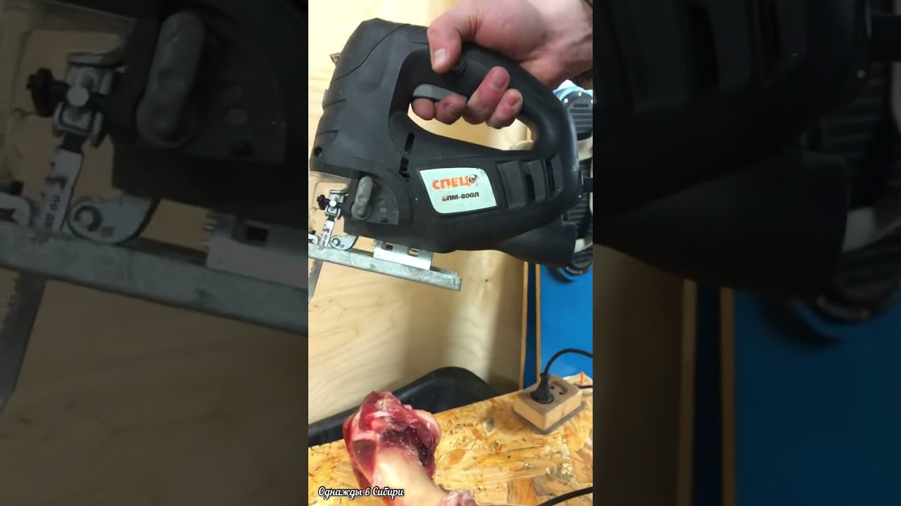 Пилим лобзиком кость кабана 