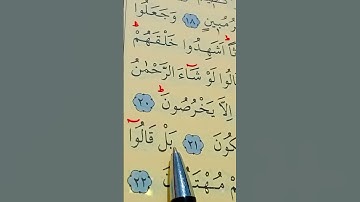 سورة الزخرف الأية 20 إلى 22 القارئ سعد الغامدي