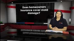 Does homeowners insurance cover mold damage?