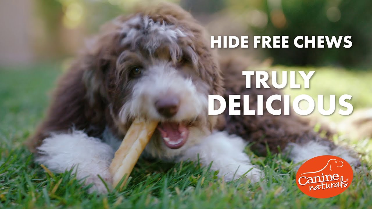 canine chews