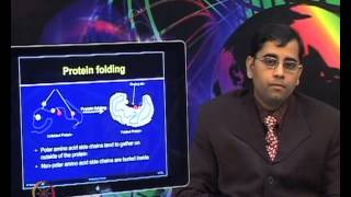 ⁣Mod-05 Lec-05 Proteins: Folding and misfolding