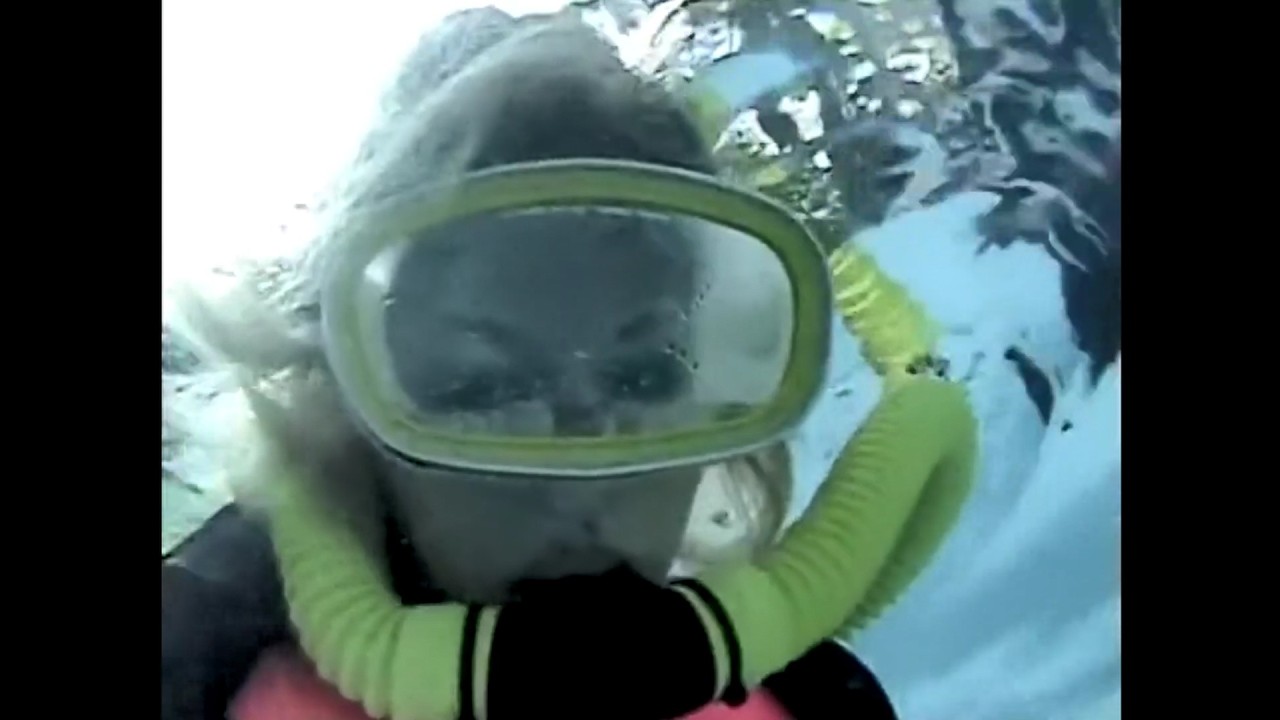 Female Divers are Diving with French Cut Neoprene Wetsuit and Spandex Catsuit