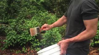 Effective Homemade Deer Repellent: Part 2